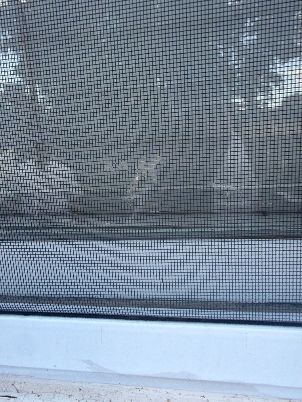 Window screen dimpled and pushed out of weave by hail impacts, photographed from inside during a roof inspection