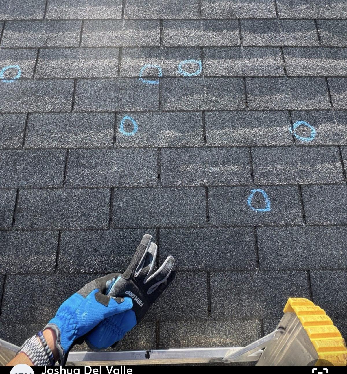 Hail damage on asphalt shingles with individual impact points circled in blue chalk during a roof inspection