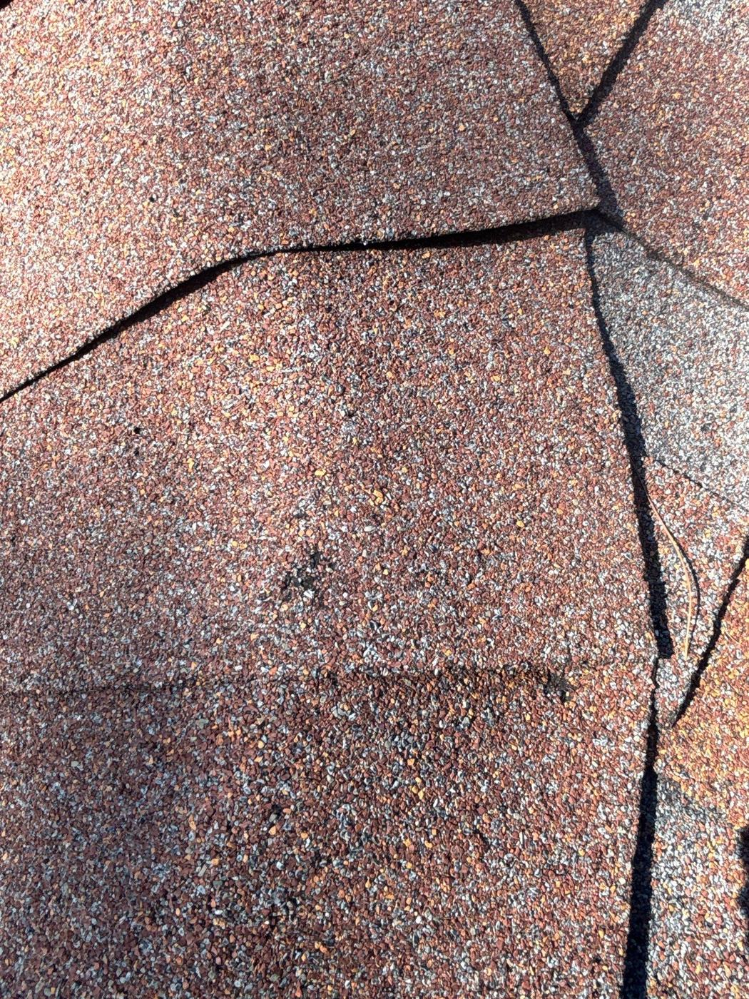 Creased asphalt shingle with a transverse fold line across the tab and a lifted, separated edge after a wind event